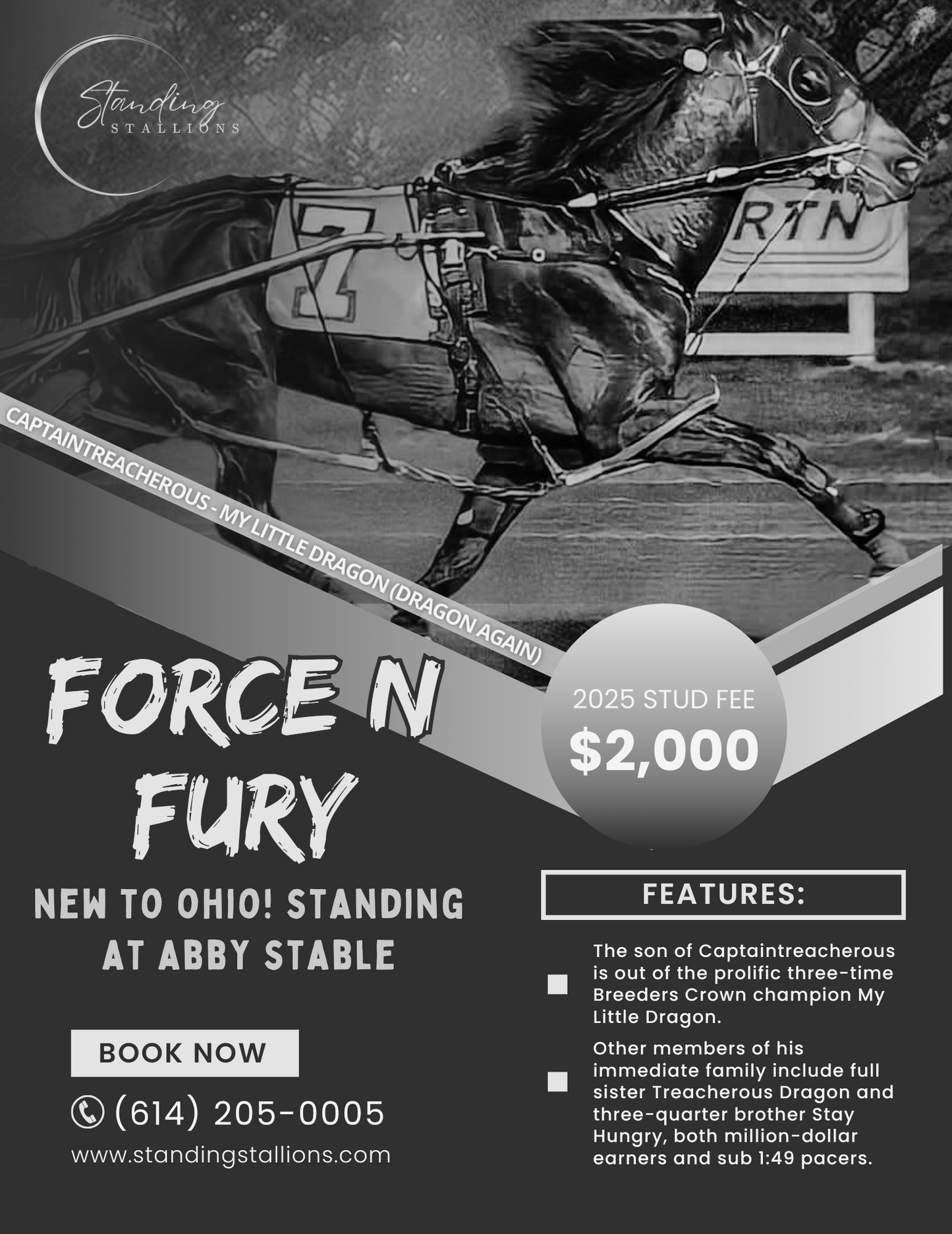 FORCE N FURY
